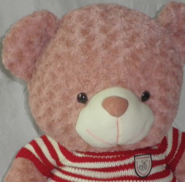 Plush Soft Teddy Bear in Red/White Sweater